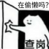 pure百分之零
