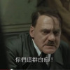 蔥花蛋