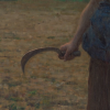 pino