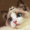 Rick_123