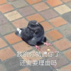 yangquantian