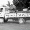 疾风知劲艹