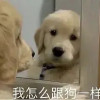 NINI_2000
