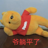 初级键政师