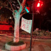 雾角梦桜