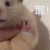 sergeiWang