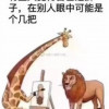 吃瓜老王