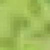 Littleverdure