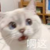乐事还是要吃原味