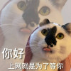 akimosochan
