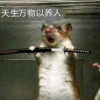 congweishou