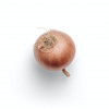 pinonion