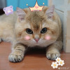 釭鐸鈱