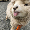 睡觉才是最终归宿