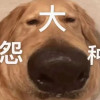 Waiwai