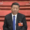 大斯莫克cj666