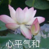 apst1992