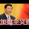 习加速升級版