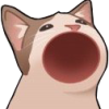 NaniNai