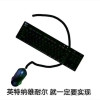 萝卜兔