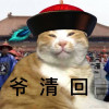 今天翠了吗