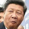 习加速师