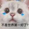 虹ohhh