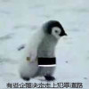 极乐哭脸猫