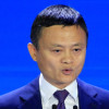 翡翠大弟