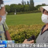 根据帝