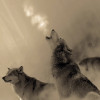LINDEVIL