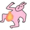 薄荷兔腰