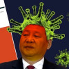 在野人民领袖