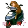 SENRI
