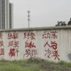 随想随想