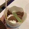 溫恭李貓