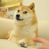 pipakgo