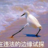 滴答滴答