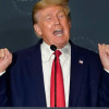 大公鸡