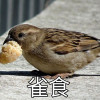 盧劒星