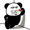 高薪诚聘
