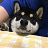 Johnkeya