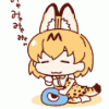藤井佩