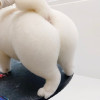 韭菜历险记