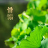 君子慎独