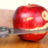 terryapple001