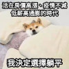 明昭六暮