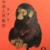 飞扬