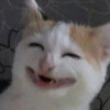 泽宁