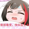 路西普鲁特